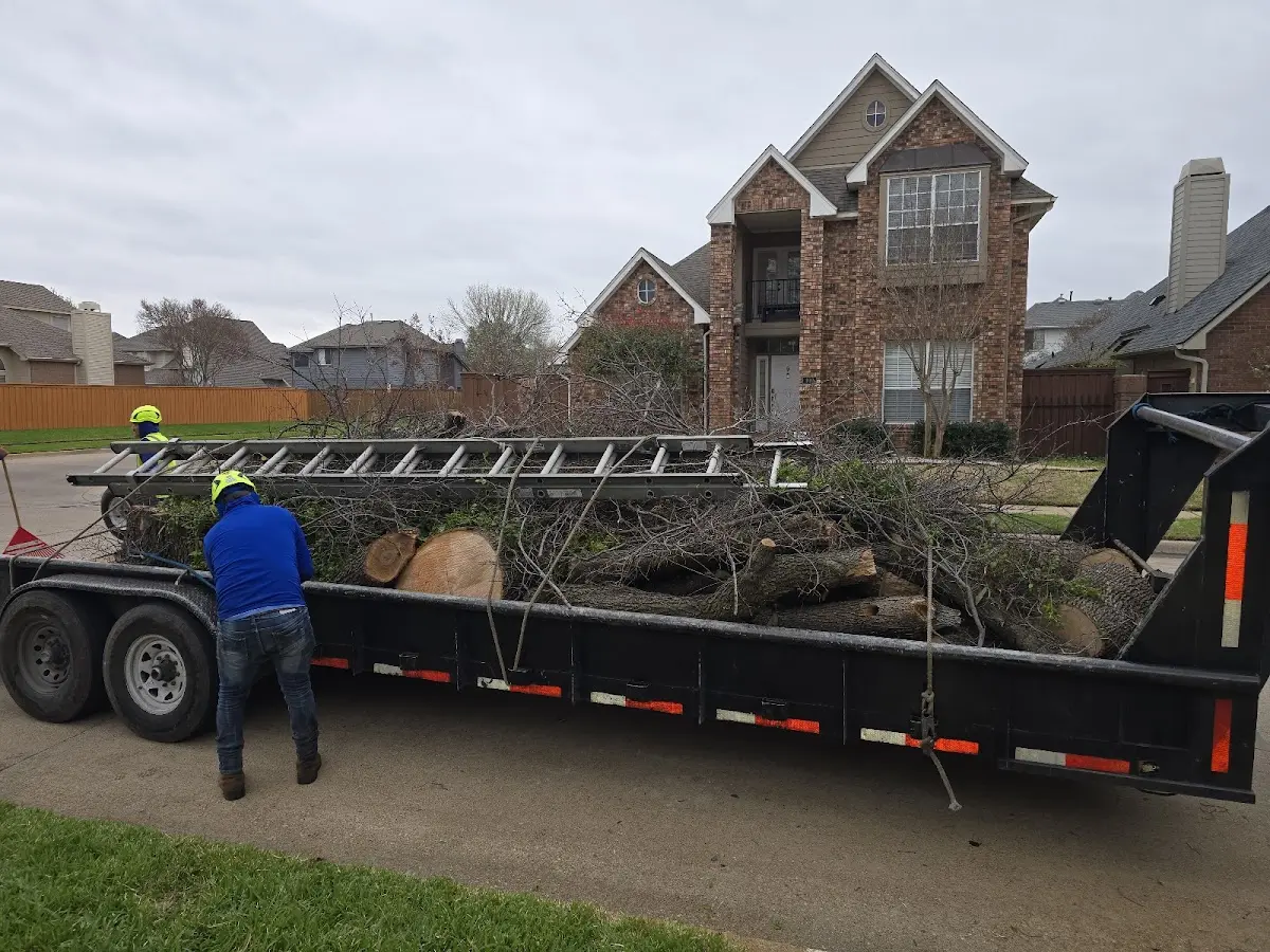 Expert Tree Fertilization with proper safety equipment in Marshall